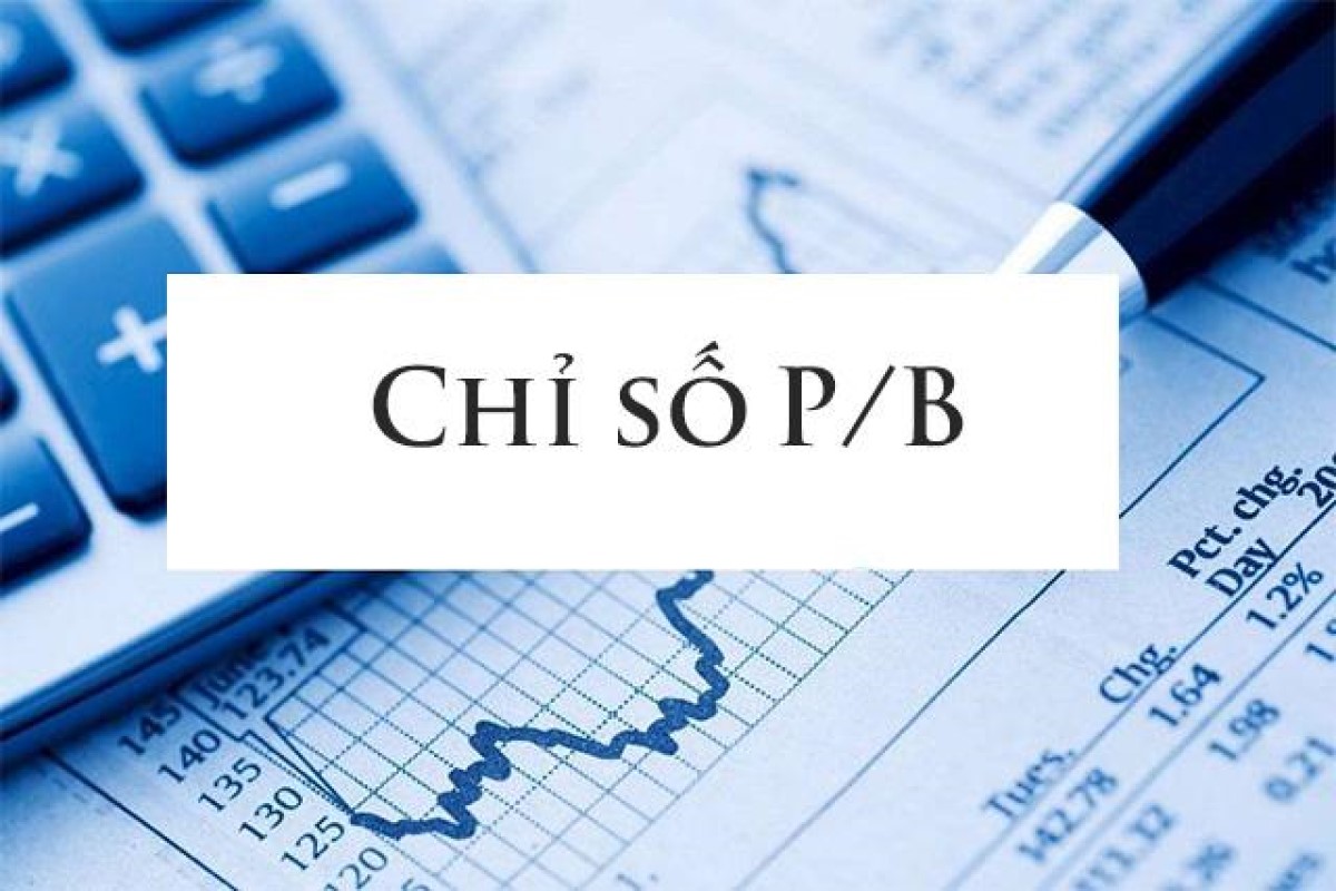 Chỉ số P/b là một chỉ số quan trọng áp dụng trong lĩnh vực tài chính