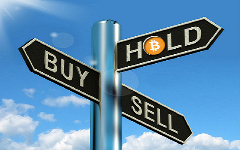 Trade và Hold là hai hình thức đầu tư Crypto phổ biến