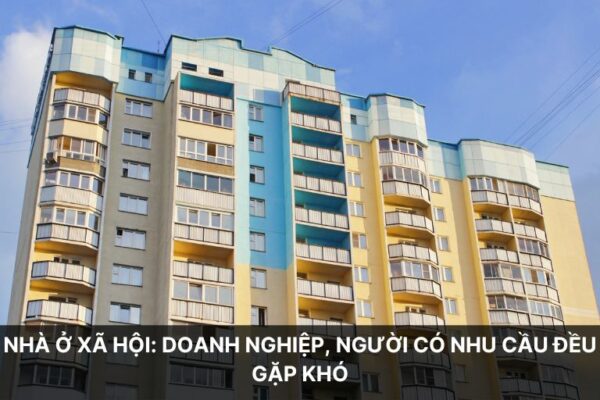 Nha-o-xa-hoi