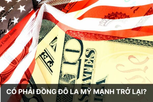 dong-do-la-my-manh