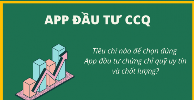 app-theo-doi-chung-chi-quy